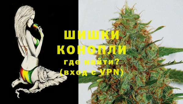 шишки Балабаново