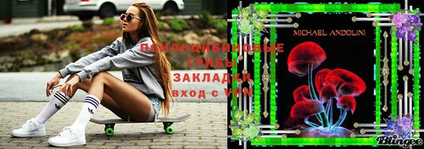 шишки Балабаново