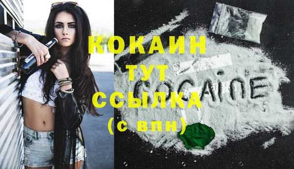 гидра Белоозёрский